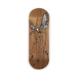 Walnut Bug
